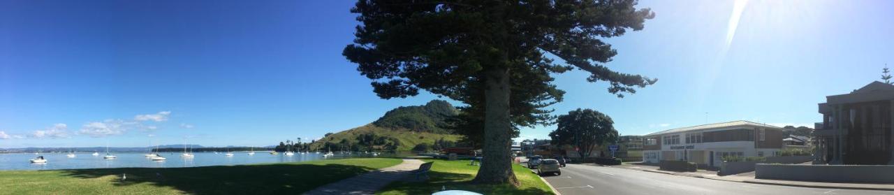 Westhaven Motel Tauranga Bagian luar foto