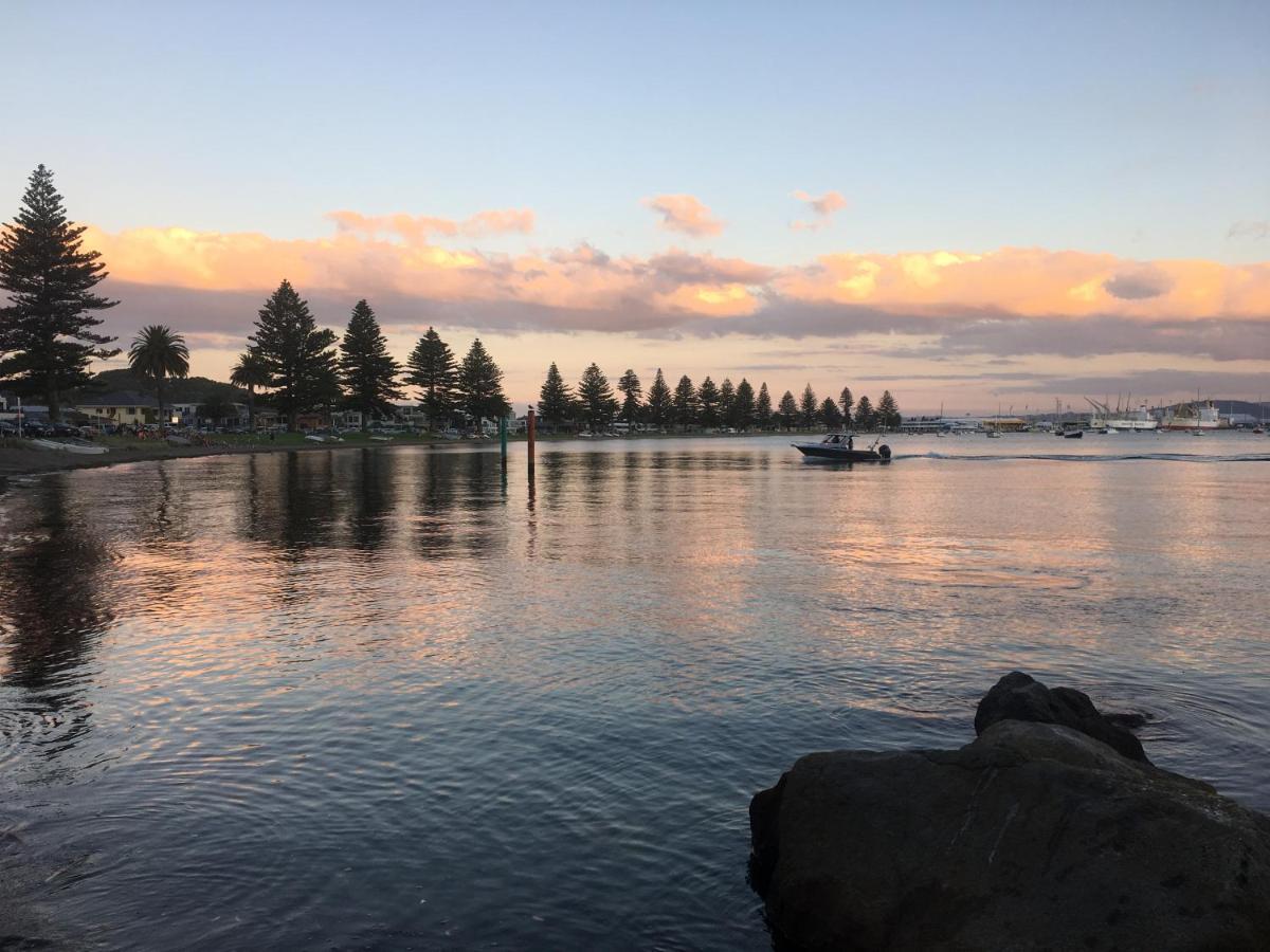 Westhaven Motel Tauranga Bagian luar foto